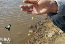 野钓技巧之传统诱钓之我的浅见