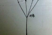 浅谈底坠跑铅钓法在走水垂钓中的应用