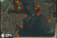 鱼的警觉性7：钓位选择及鱼为什么上浮