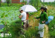 野外钓鱼技巧贵在灵活变通
