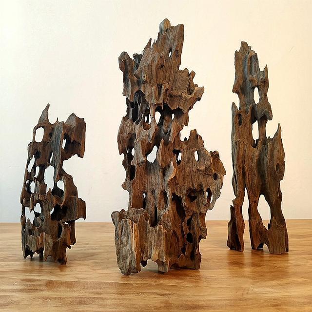 它是鱼缸造景的主角,沉木如何处理?沉木的常见问题解答