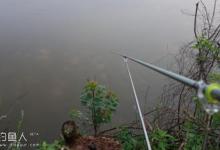 台钓钓鱼竿尖入水的三大理由