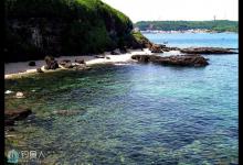 熟知浅滩钓鱼方法 可以提高渔获