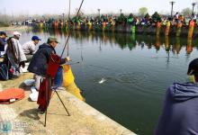 竞技钓比赛中钓快鱼的技巧全解析