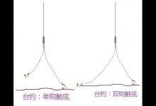 泉动钓法与台钓状态的区别与调整