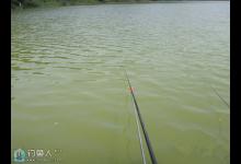 浅谈手竿无漂钓法技巧