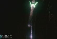 夜钓中不同光源照明的效果介绍