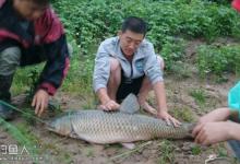 在野生水域钓大鱼的各种技巧分析