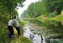 钓友总结分享个人野钓经验