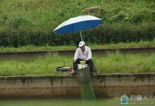 台钓飞铅钓法的操作与运用