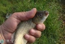 野外台钓时应注意的五大要素