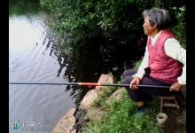 民间抖灰面钓法的使用技巧