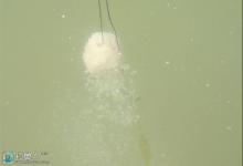 浅谈饵料的雾化效果对钓鱼影响