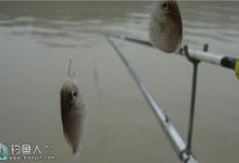 浅谈悬坠钓鱼中的平衡关系