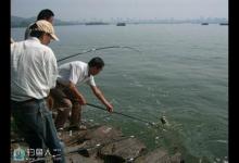 野钓水库大鱼时应当如何搭配钓具及钓组