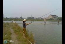 纠正对传统钓法存在的三大技术错误观点