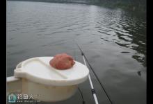 飞铅钓法的五大基本要素