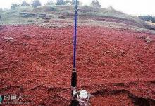 抛竿托钓法窍门及饵料技巧