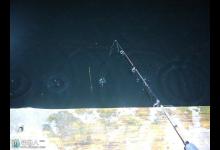 筏钓时出现卡线的原因分析及处理方法