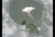 冰钓新手易犯的四个错误