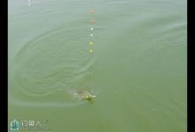 传统七星漂钓法的信号分析与处理