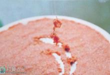 浅谈野钓中的台钓拉饵方式及手法运用