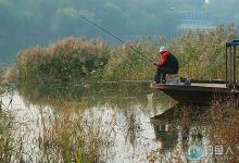 高手分享在小鱼群中钓大鱼的技巧