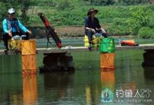 什么是台钓？台湾钓法的介绍与技巧