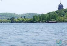 在台钓中悬坠钓法出现跑鱼怎么办