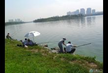 钓鱼达人分享野钓的一些小技巧与口诀