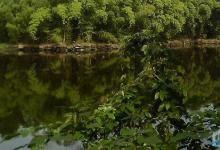 鱼儿为什么也喜欢进水口呢？