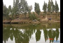 五郎水库台钓复二火钓获鲢鱼鲫鱼翘嘴