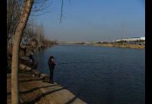 传统钓竿玩热闹 酒米打窝红虫钓