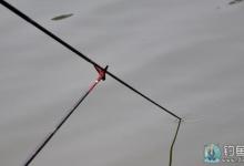 高手无师自通分析台钓压线的技巧