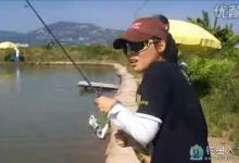 新手学台钓上鱼后遛鱼技巧和摘钩取鱼技巧详解