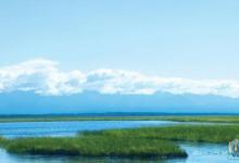 用双坠可以解决悬坠钓法的一些问题