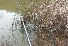 长竿短线七星漂钓大鲫开竿上鲤鱼