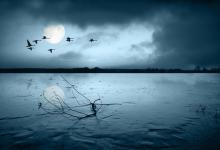 经典特色的晃钩钓鱼法详解[齐鲁渔翁]