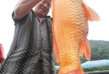 钓鱼达人浅谈野钓小妙招 大家快来看