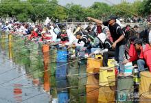 滕兵兵详细解答竞技钓的混养技巧 [钓友提问]