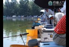 台钓用饵技巧，需注重钓前调查和分析