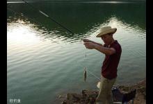 野钓调平水的详细方法与解析