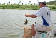 个人对台钓盲区的见解之谈