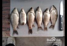 垂钓时如何准确把握提鱼竿时间？