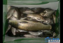 海之南分享钓鱼走钓、坐钓个人经验技巧