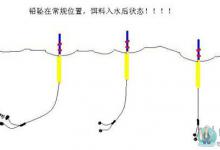 钓鱼实战图解分析飞铅钓法 [西域钓者]
