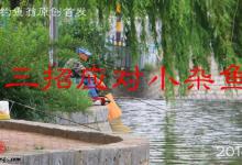 酷暑来临高手分享几招对付小杂鱼技巧