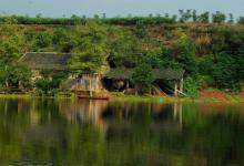 春钓要像钓到鱼，要从钓位、钓具、窝饵、钓法等作手