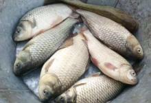 春天来了，选个什么样的天能让咱爆爆护？推荐下面3种