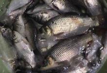 冬天这几种天气不要出钓！因为会大概率打龟